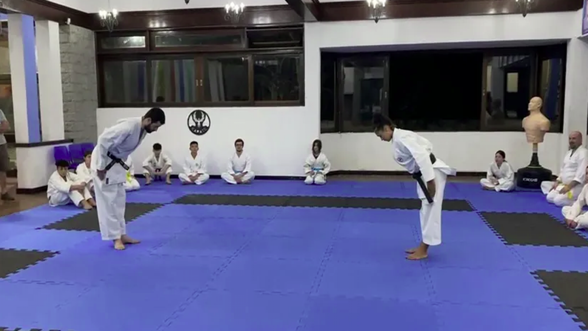 Karate para Defesa Pessoal: Aprenda a se Proteger com Confiança