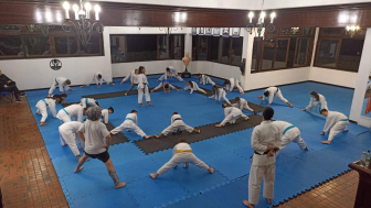 Karate para Iniciantes: Descubra o Mundo das Artes Marciais